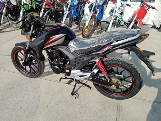 Мотоцикл MotoLand Flash 200